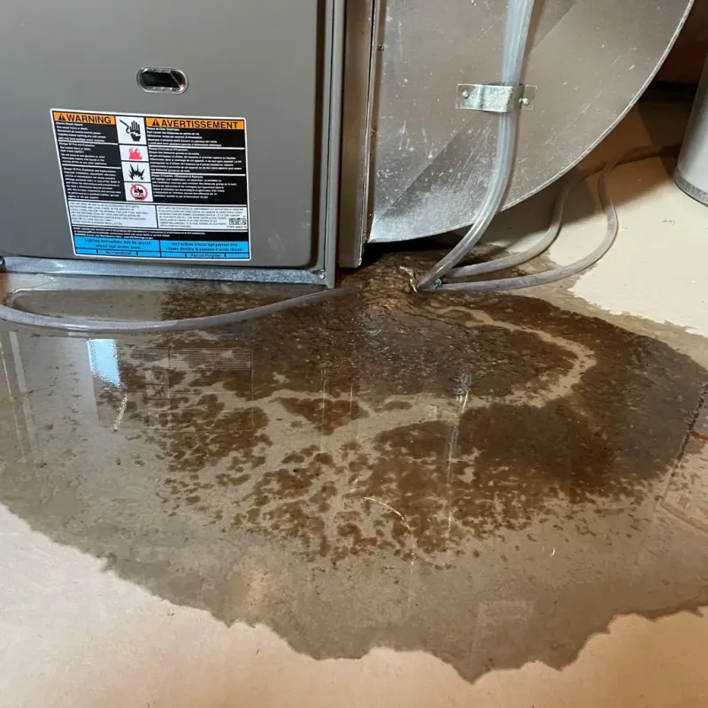 Appliance Leak Cleanup in Sarcoxie, MO