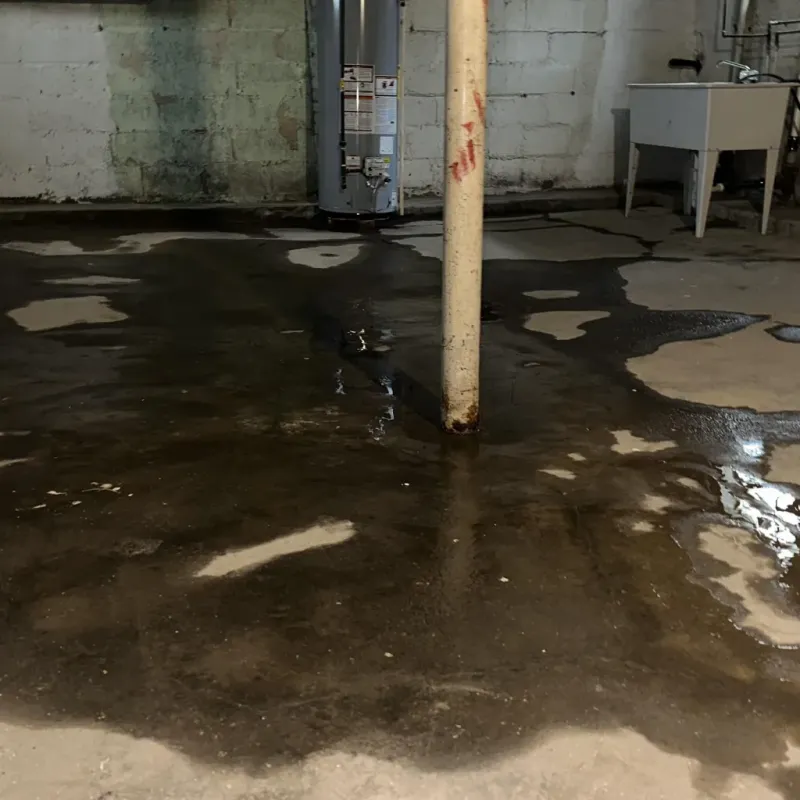 Emergency Water Extraction And Removal in Sarcoxie, MO